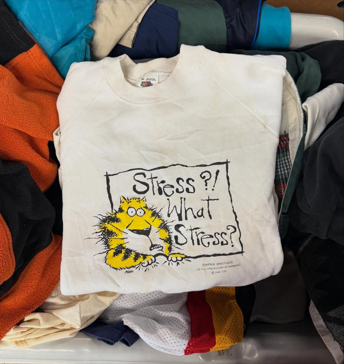 Vintage cartoon sweatshirt pulled fresh from the bins